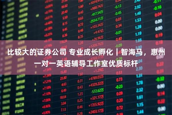 比较大的证券公司 专业成长孵化｜智海马，惠州一对一英语辅导工作室优质标杆